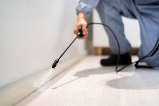 Licensed Mosquito Control service in Cactus, TX - Show Me Pest Control