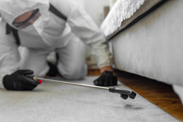 Professional Ant Control technician working in Cactus, TX