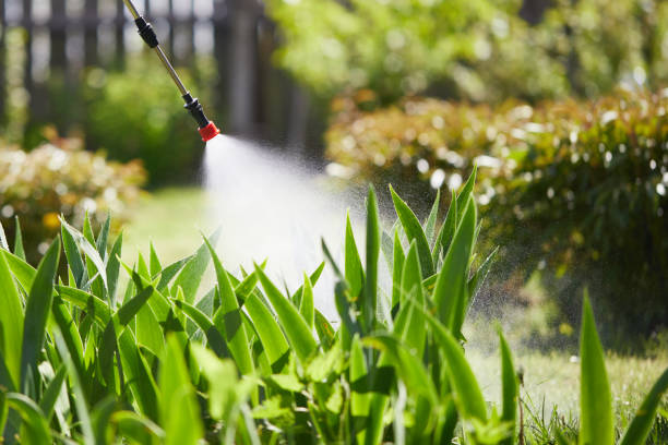 24/7 Emergency Mosquito Control experts in Cactus, TX