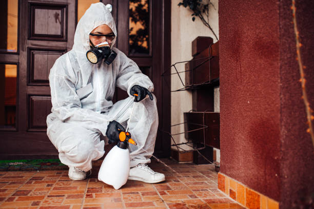 Reliable Mosquito Control contractor in Cactus, TX by Show Me Pest Control